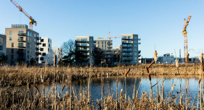Danmarks største by- og byggeinstitut ser dagens lys